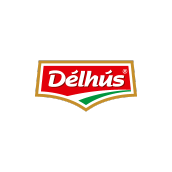 Délhús
